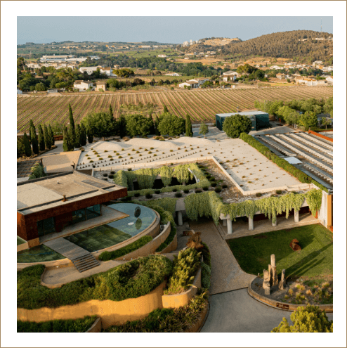 Vineyard with a carbon-neutral winery building in the background