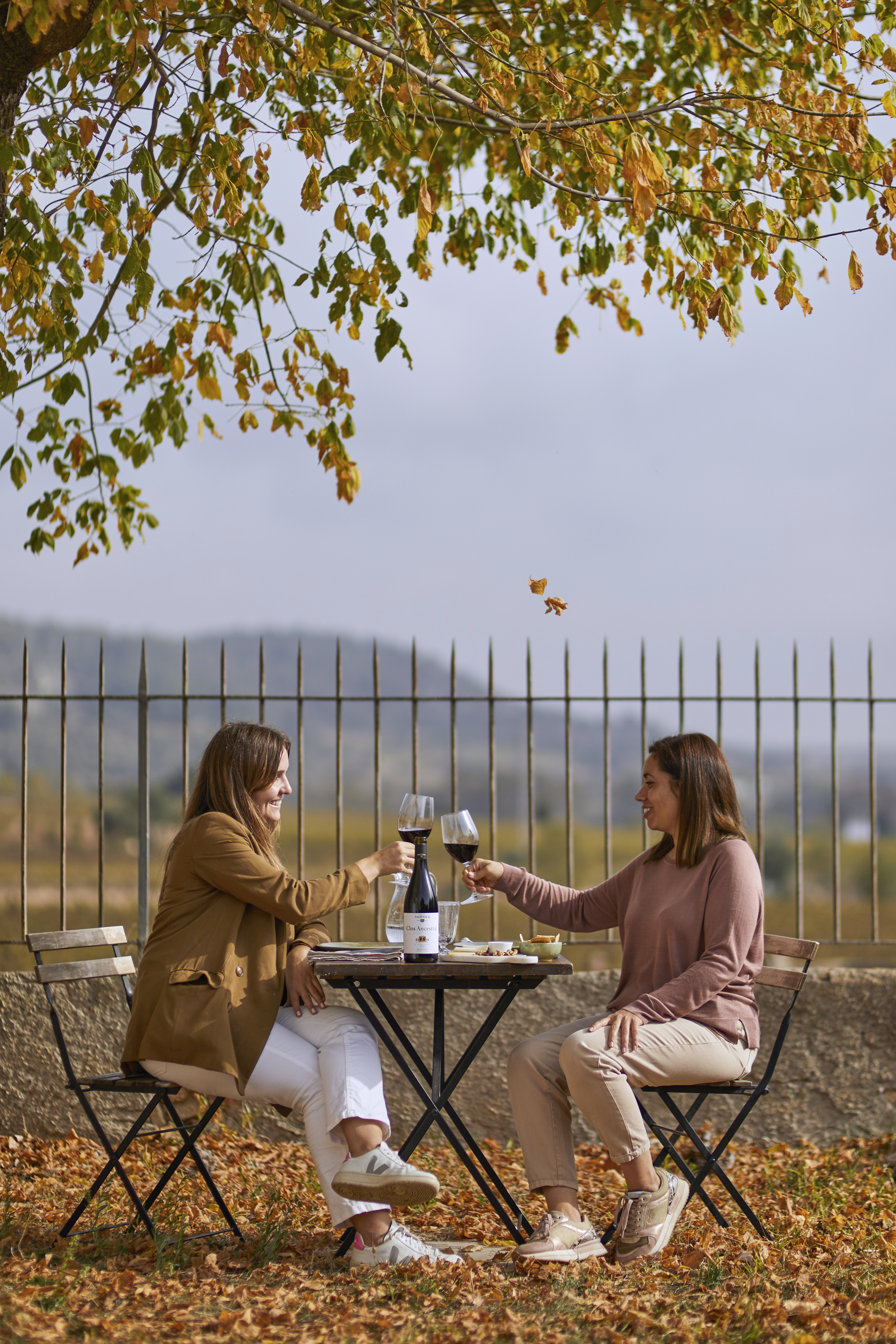 Comida de otoño en el aire libre disfrutando de una copa de vino tinto.